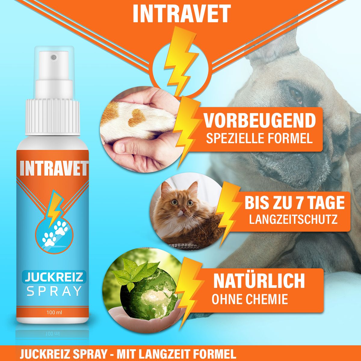 Intravet® | Juckreiz Spray für Hund und Katze