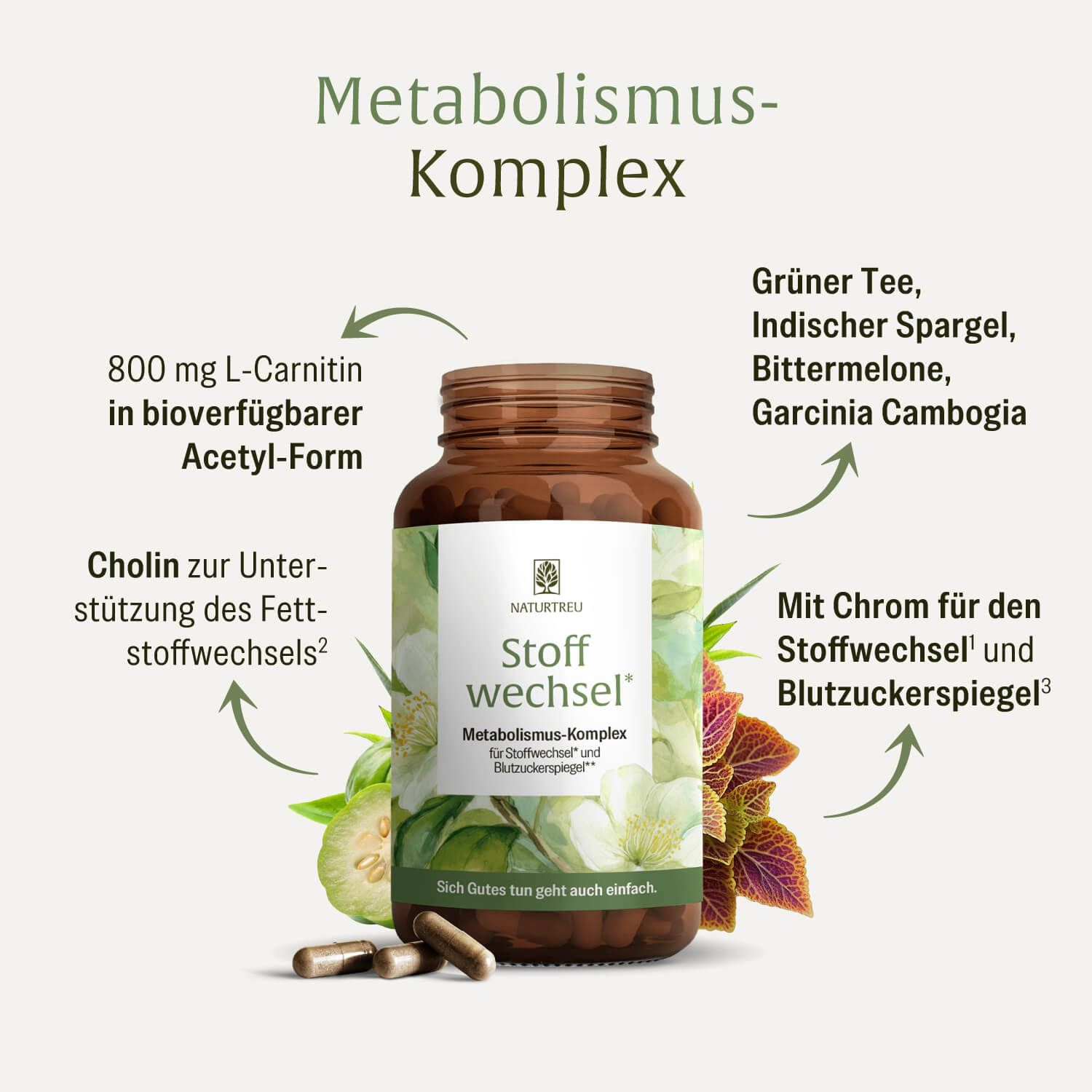 NATURTREU Stoffwechsel Kapseln mit detaillierter Darstellung der Inhaltsstoffe und Pflanzen.