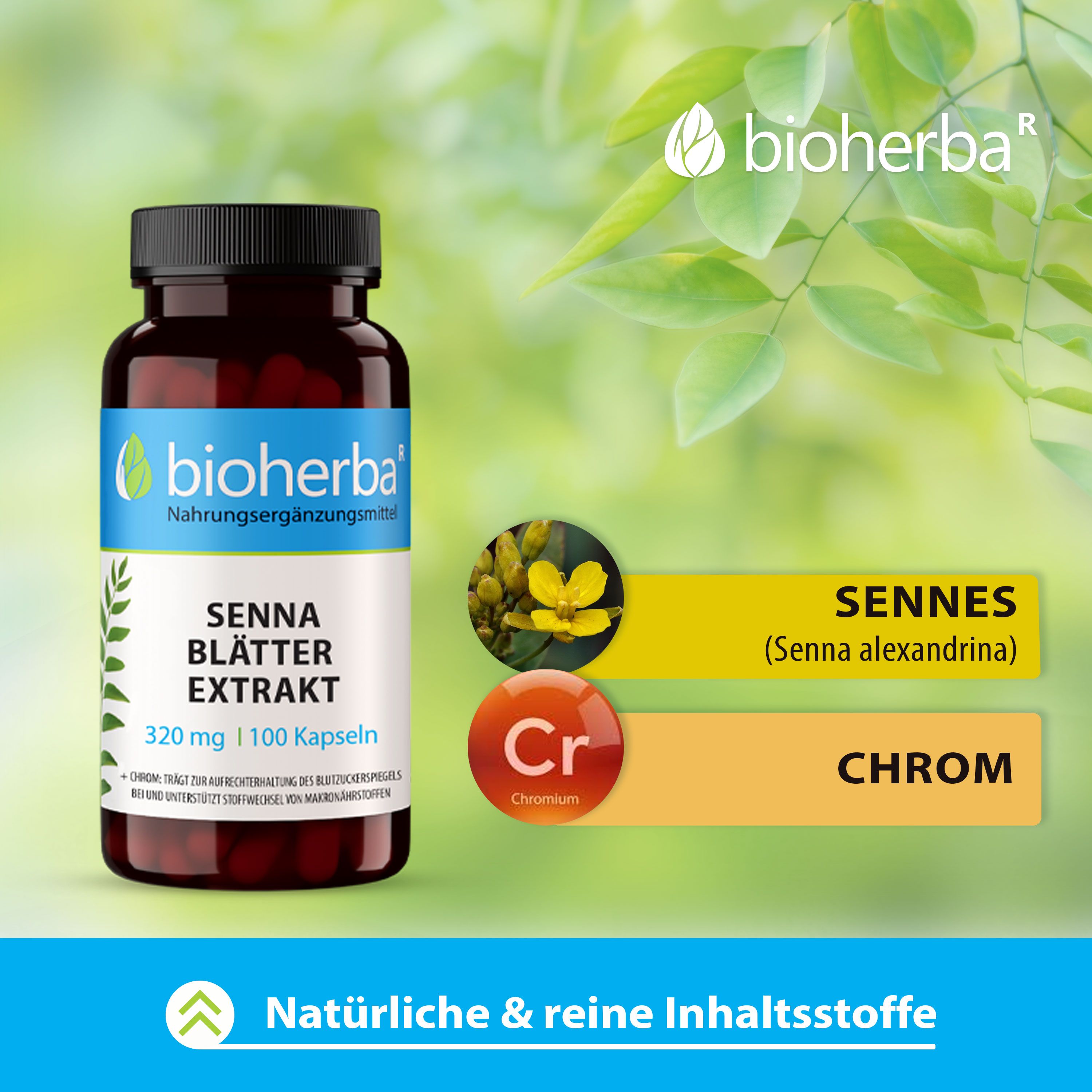 Bioherba Senna Blätter Kapseln