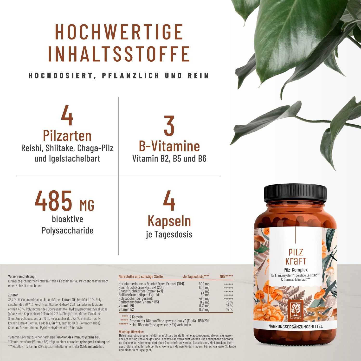 Pilz Komplex mit Hericium Erinaceus (Lions Mane), Reishi, Chaga & Shiitake- Pilzkraft - Naturtreu® 67,2 g Kapseln