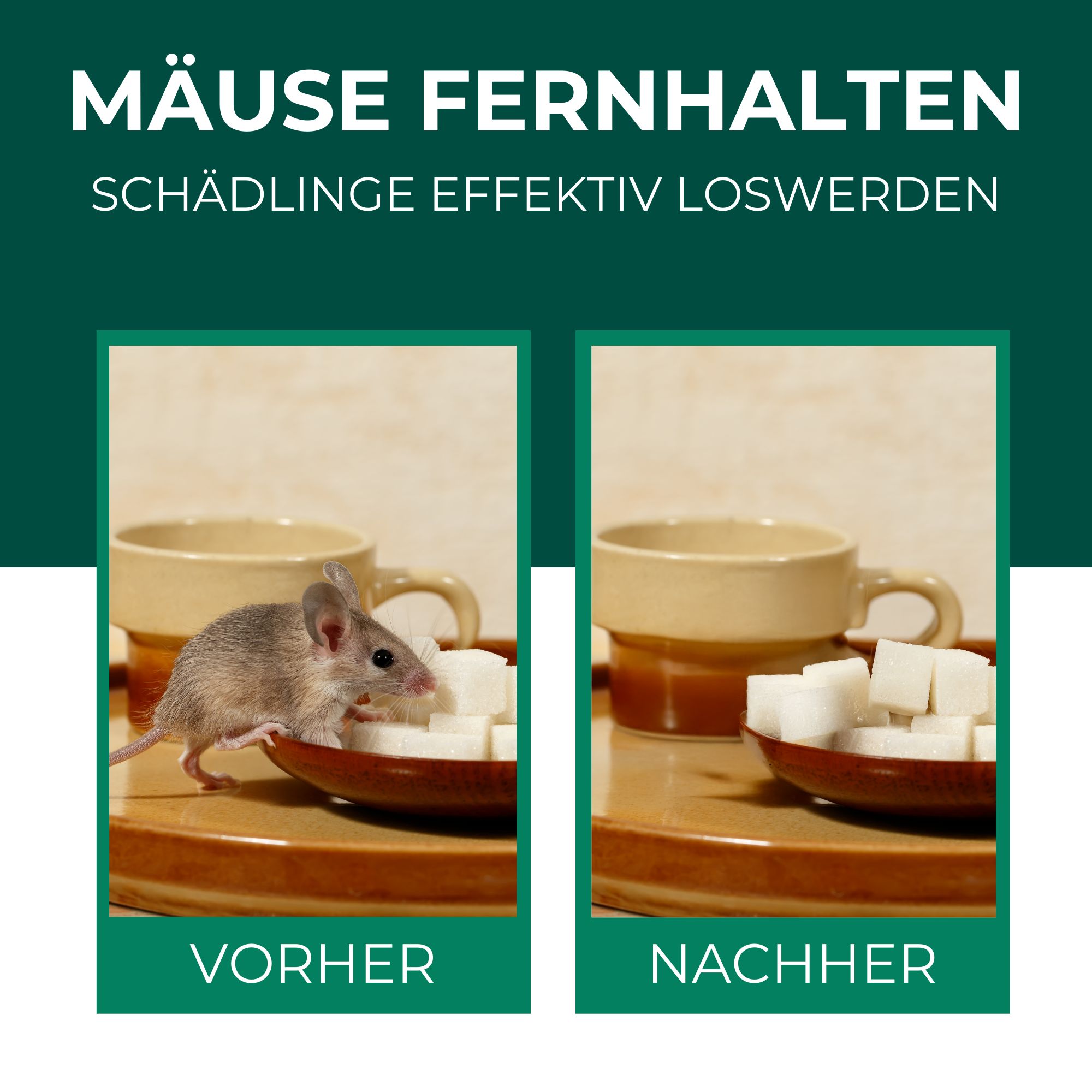 SILBERKRAFT Mäuse-Abwehr-Spray
