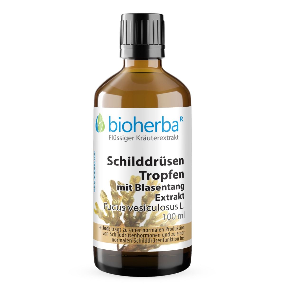 Braune Glasflasche mit schwarzem Deckel. Etikett mit Produktnamen und Logo. Text: Schilddrüsen Tropfen mit Blasentang Extrakt.