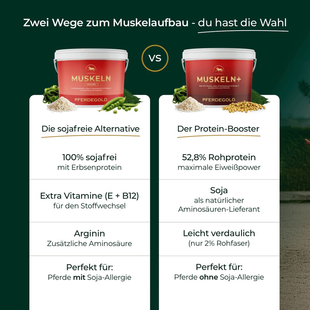 Pferdegold Muskeln sojafrei