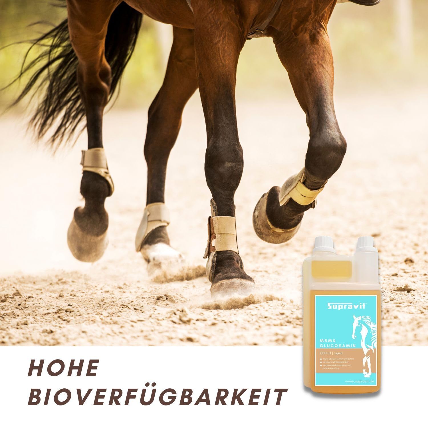 Flüssiges Ergänzungsfuttermittel. Aufschrift: Supravit MSM & Glucosamin. Flasche neben Pferdebeinen. Text: Hohe Bioverfügbarkeit.