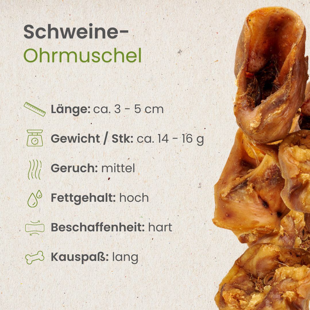 Schwein-Ohrmuschel, 3-5 cm lang, 14-16 g schwer, hart, hoher Fettgehalt.