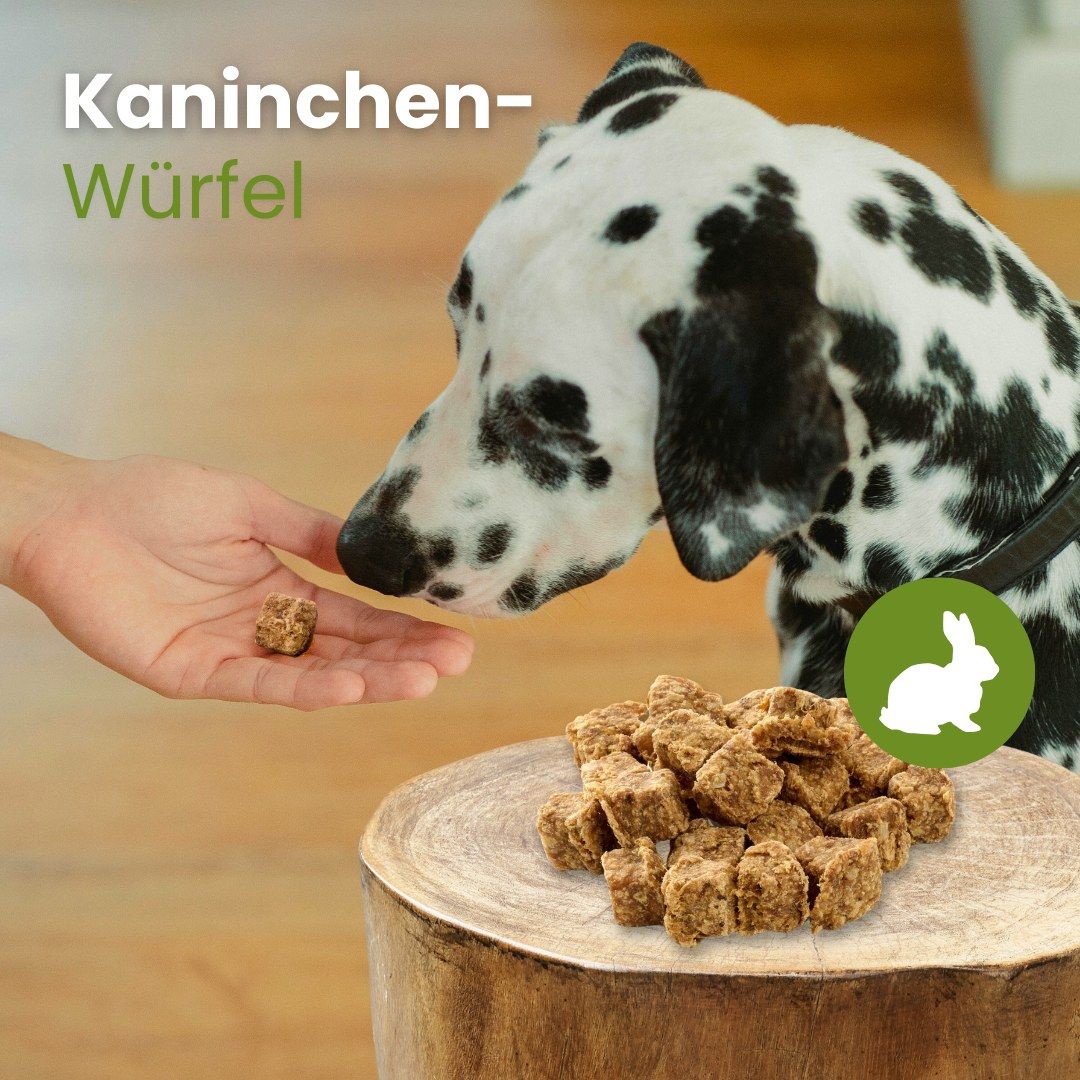 Infografik: Kauartikel sind gut für Hunde, bieten Protein, Zahnpflege und Stressabbau.