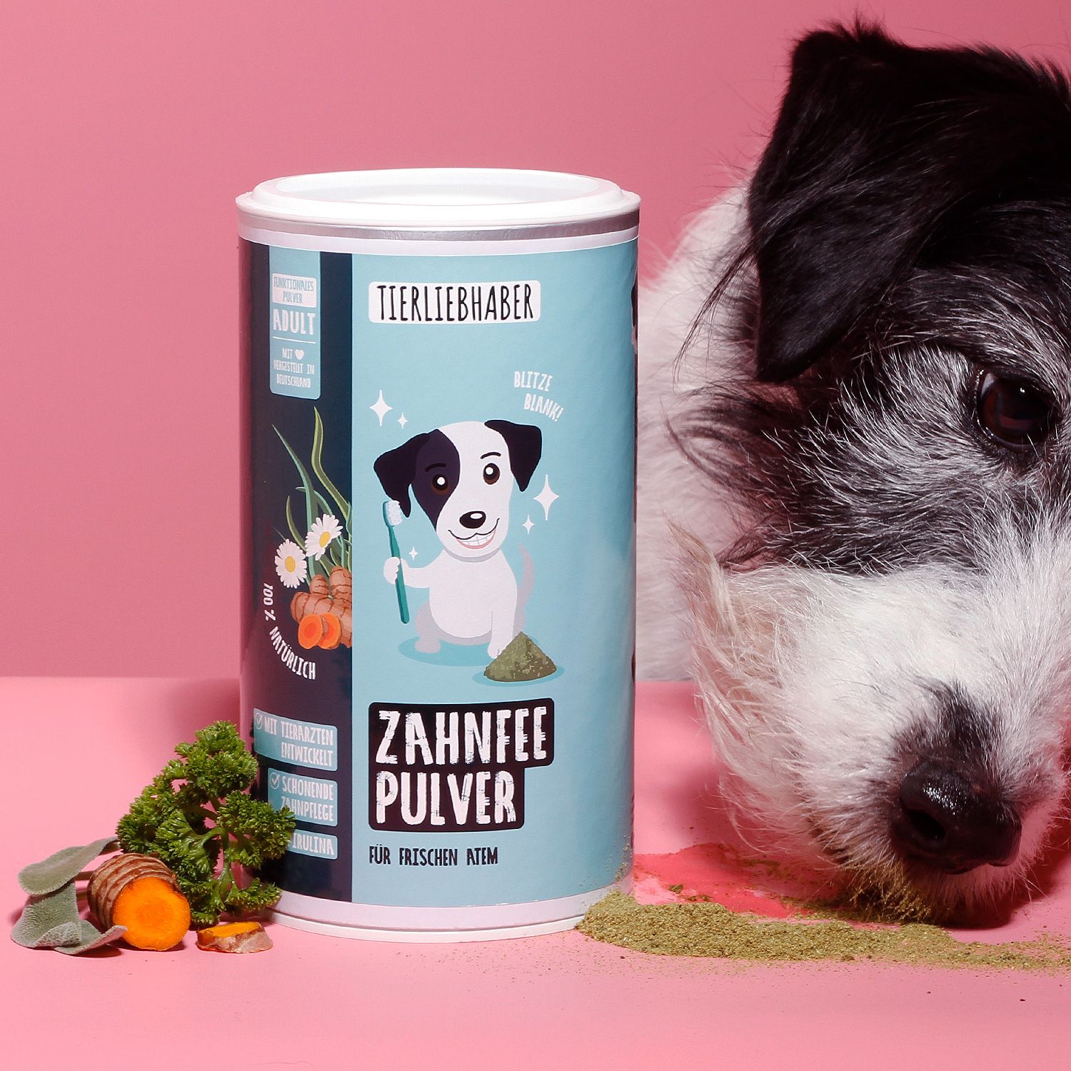 Zahnfee Pulver Dose mit Hund, Kräutern und Gemüse. Aufschrift: Tierliebhaber, Zahnfee Pulver, für frischen Atem.