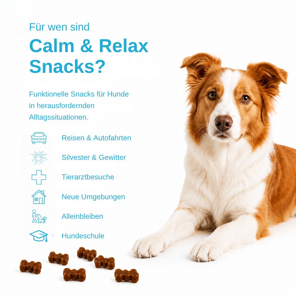Ein Hund liegt neben einer Liste von Situationen, in denen "Calm & Relax Snacks" hilfreich sind.