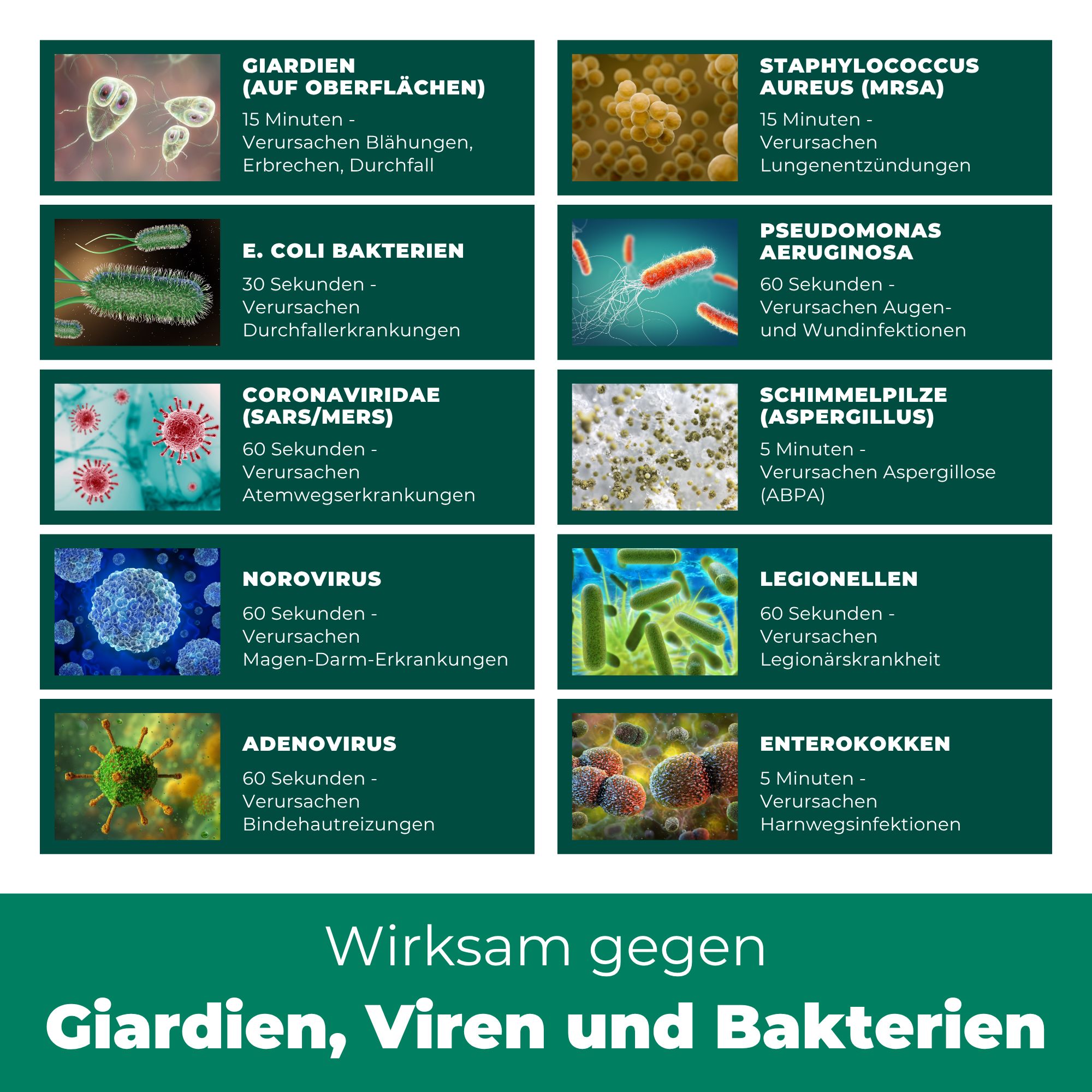 Infografik mit Mikroorganismen. Text: Giardien, Viren und Bakterien. Auflistung von Erregern und Wirkzeiten.