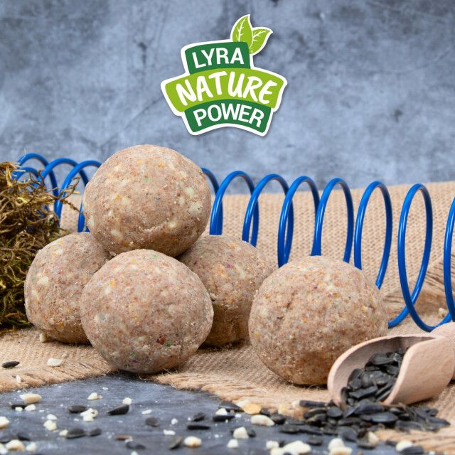 Meisenknödel an blauer Spirale. Logo: Lyra Nature Power. Hintergrund: Samen, Holzschaufel.