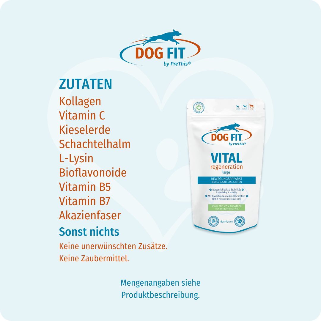 Produktbeutel mit DOG FIT Logo und Text. Text: VITAL regeneration, Zutaten: Kollagen, Vitamin C, Kieselerde, u.a. Sonst nichts.