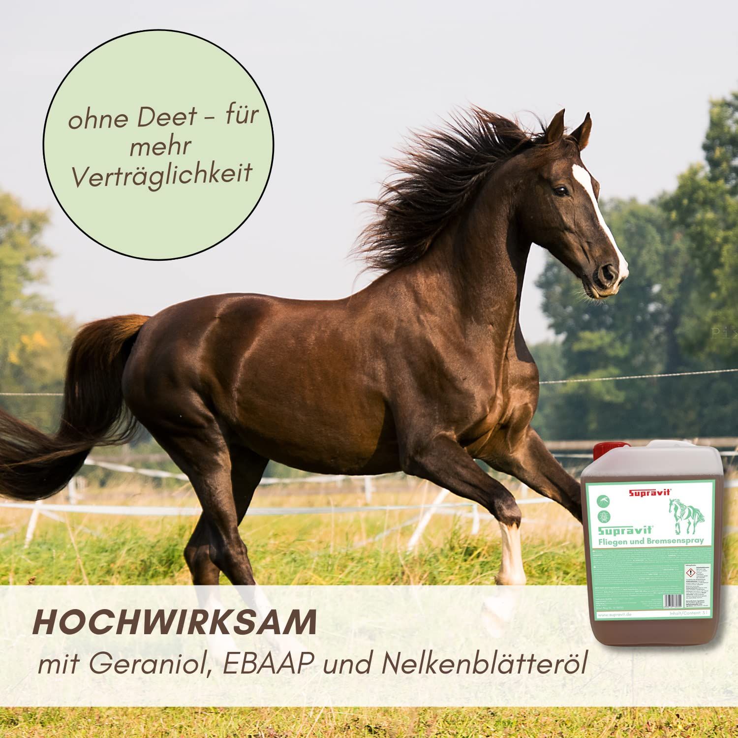 Supravit Bremsen & Fliegenspray Pferd | Effektiver Insektenschutz