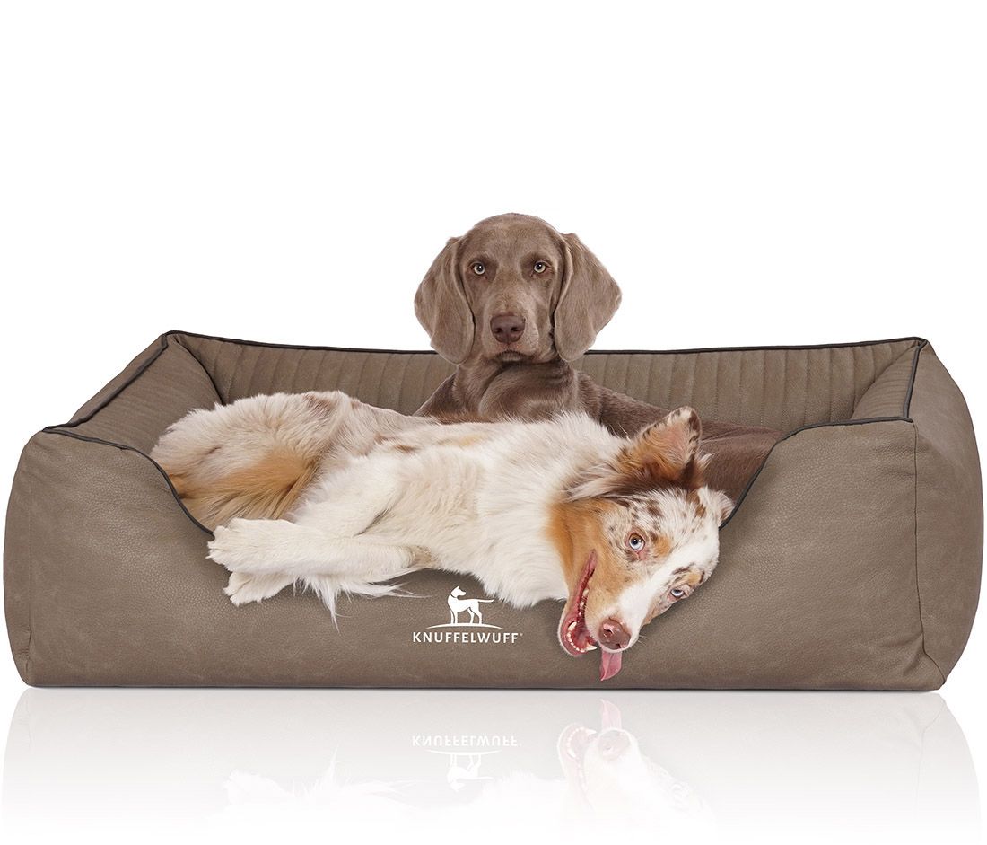 Hundebett Columbia mit zwei Hunden. Ein Hund liegt, einer sitzt. Braunes Hundebett mit Knuffelwuff Logo. Helle Umgebung.