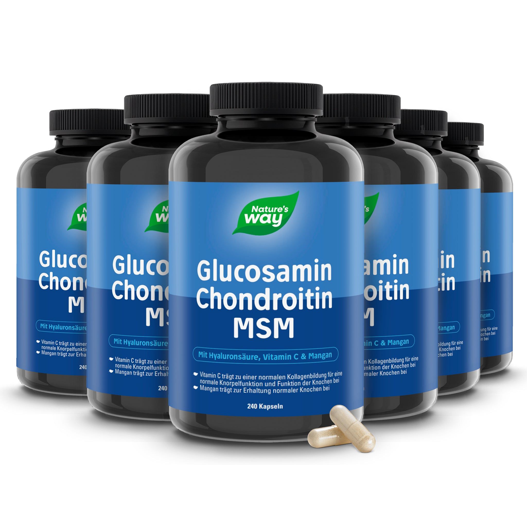 Nature's Way Glucosamin Chondroitin MSM Kapseln
