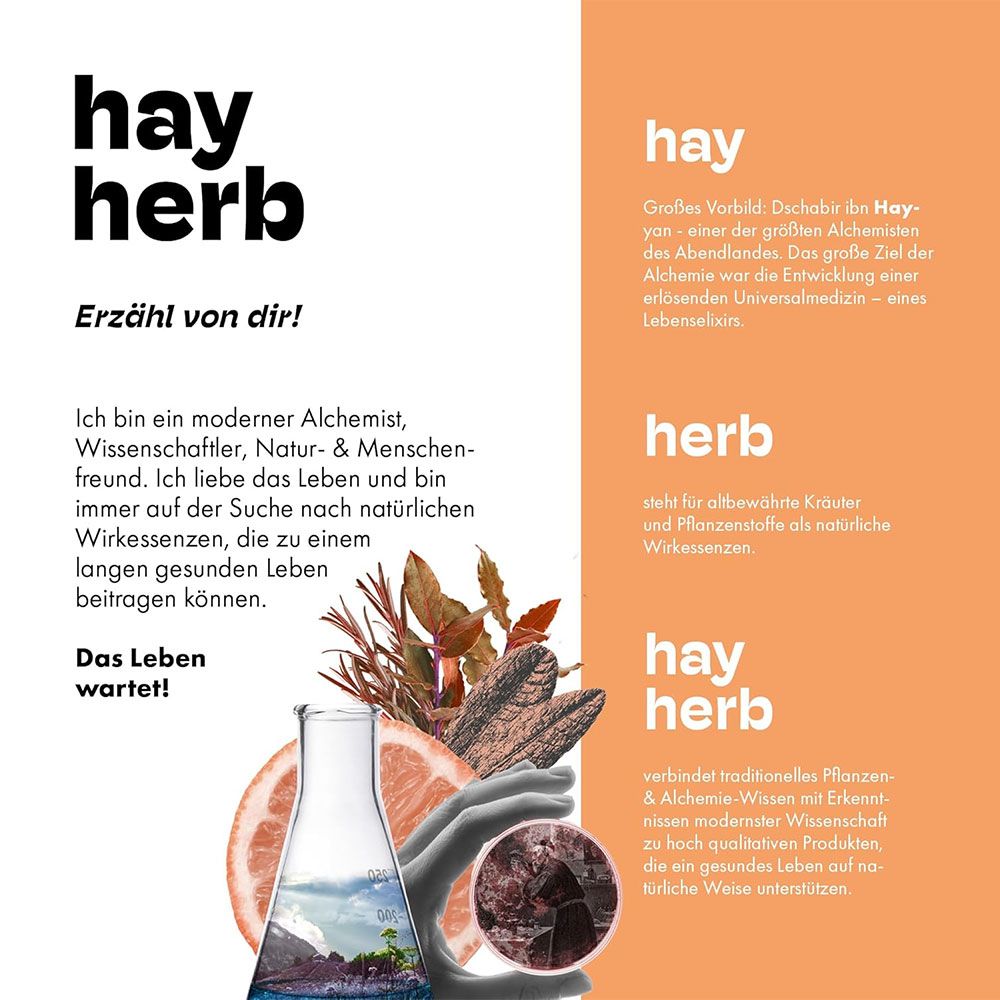 Collage mit Text und Illustrationen. Text: hay herb. Alchemist, Wissenschaftler, Natur- & Menschenfreund. Illustrationen: Pflanzen, Zitrone, Glas.