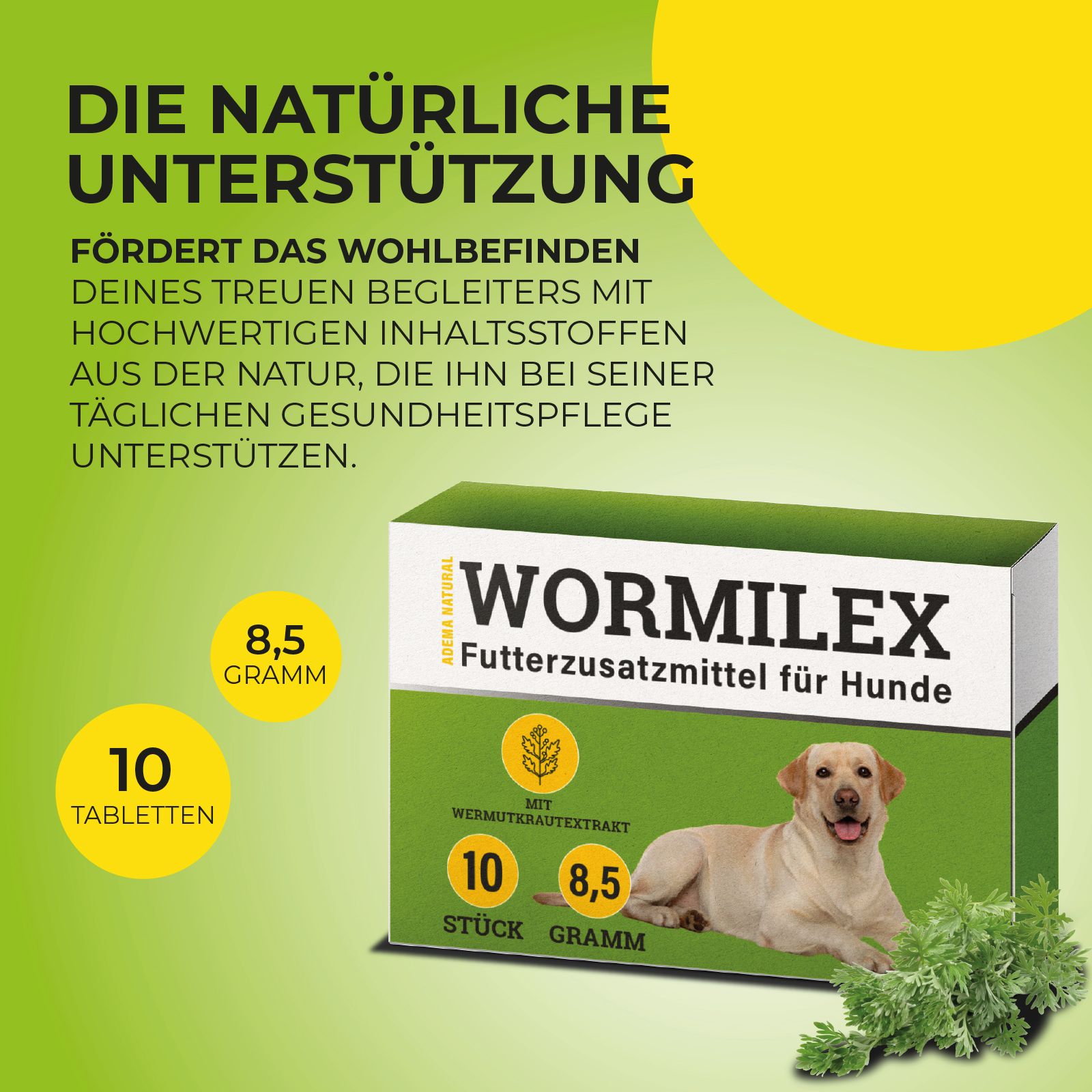 Werbebild für Wurmmittel Hund. Produktverpackung neben Text und Kräutern. Enthält 10 Tabletten, 8,5 Gramm.