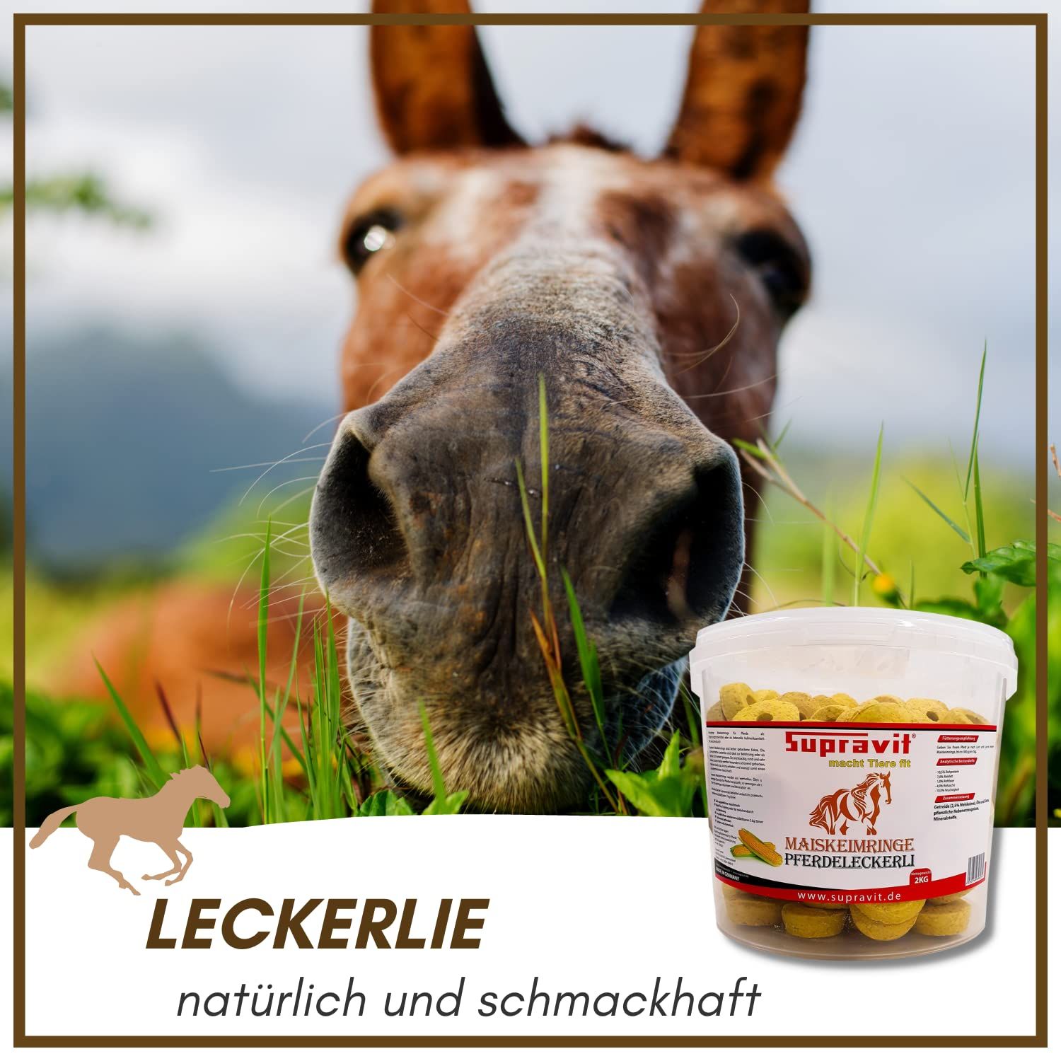 Eimer mit Pferdeleckerlis, daneben ein Pferd, das Gras frisst. Text: Leckerlie, natürlich und schmackhaft.