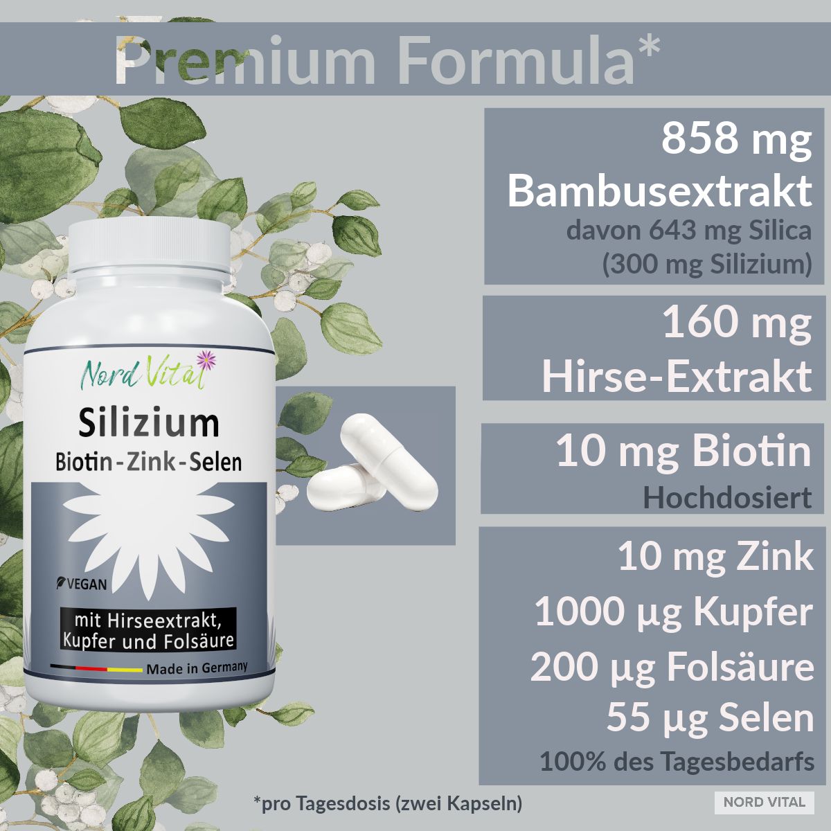 Nord Vital Silizium aus Bambus-Extrakt, Hirse-Extrakt, Biotin, Zink, Selen, Kupfer, und Folsäure