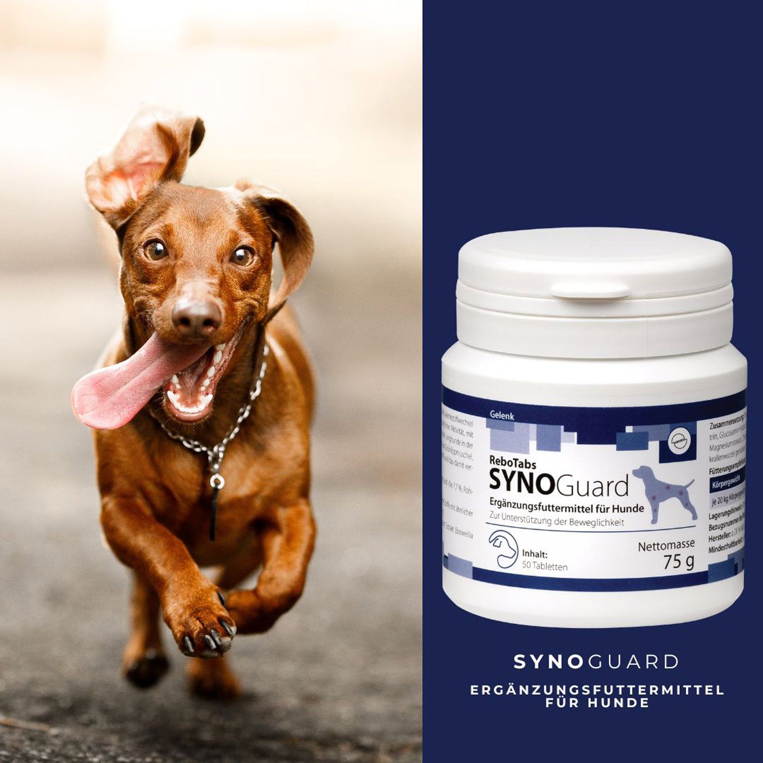 reboVet ReboTabs SYNOGuard