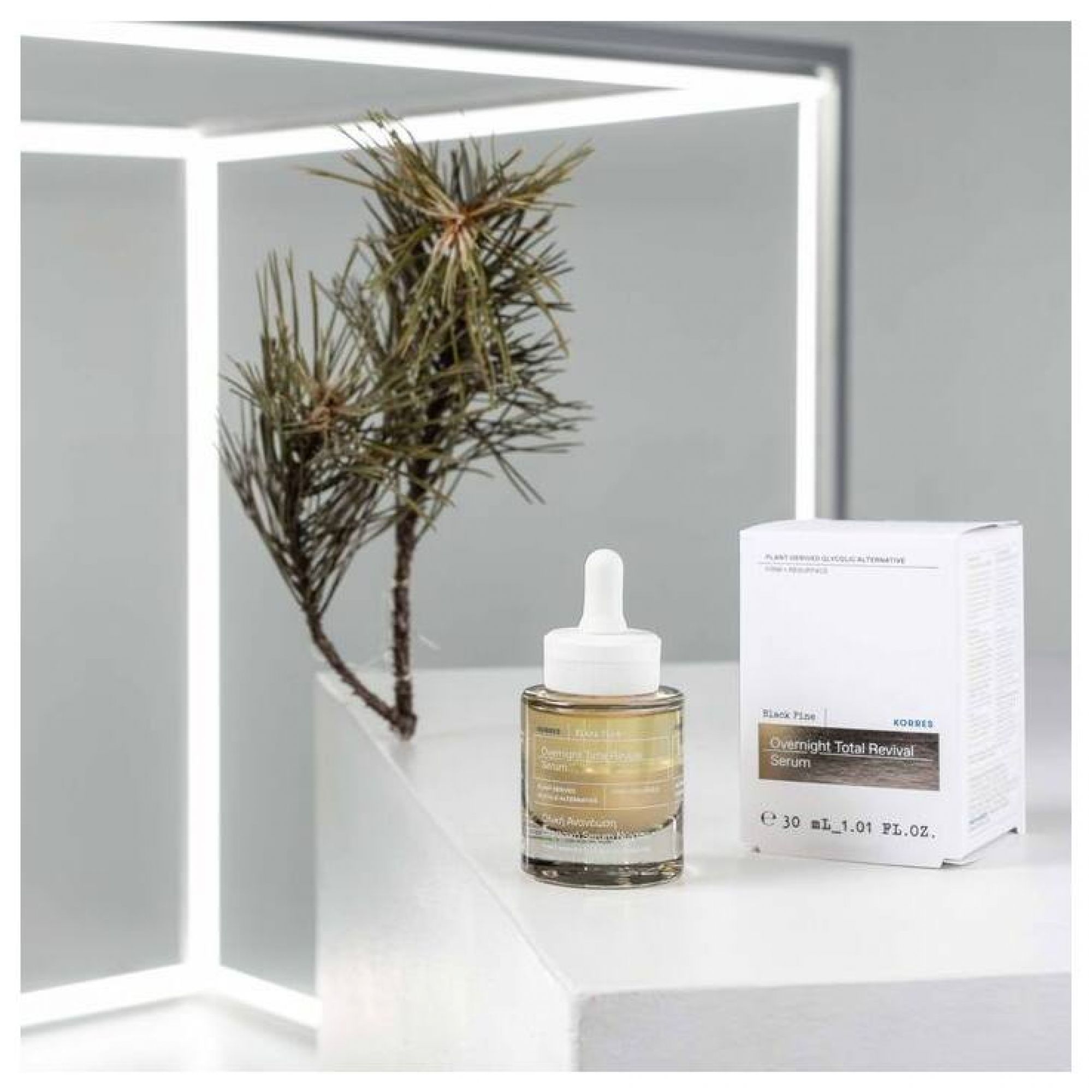 KORRES Black Pine Serum neben einer Kiefernzweig-Dekoration und Kartonverpackung.