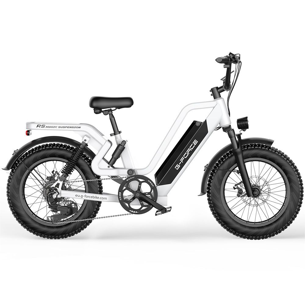 G-FORCE RS ST 20-Zoll-All-Terrain-E-Bike, 48V 20Ah Akku