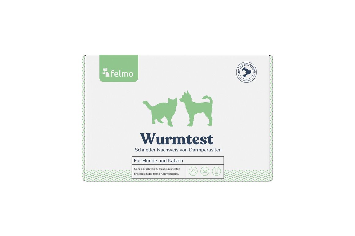 felmo Wurmtest