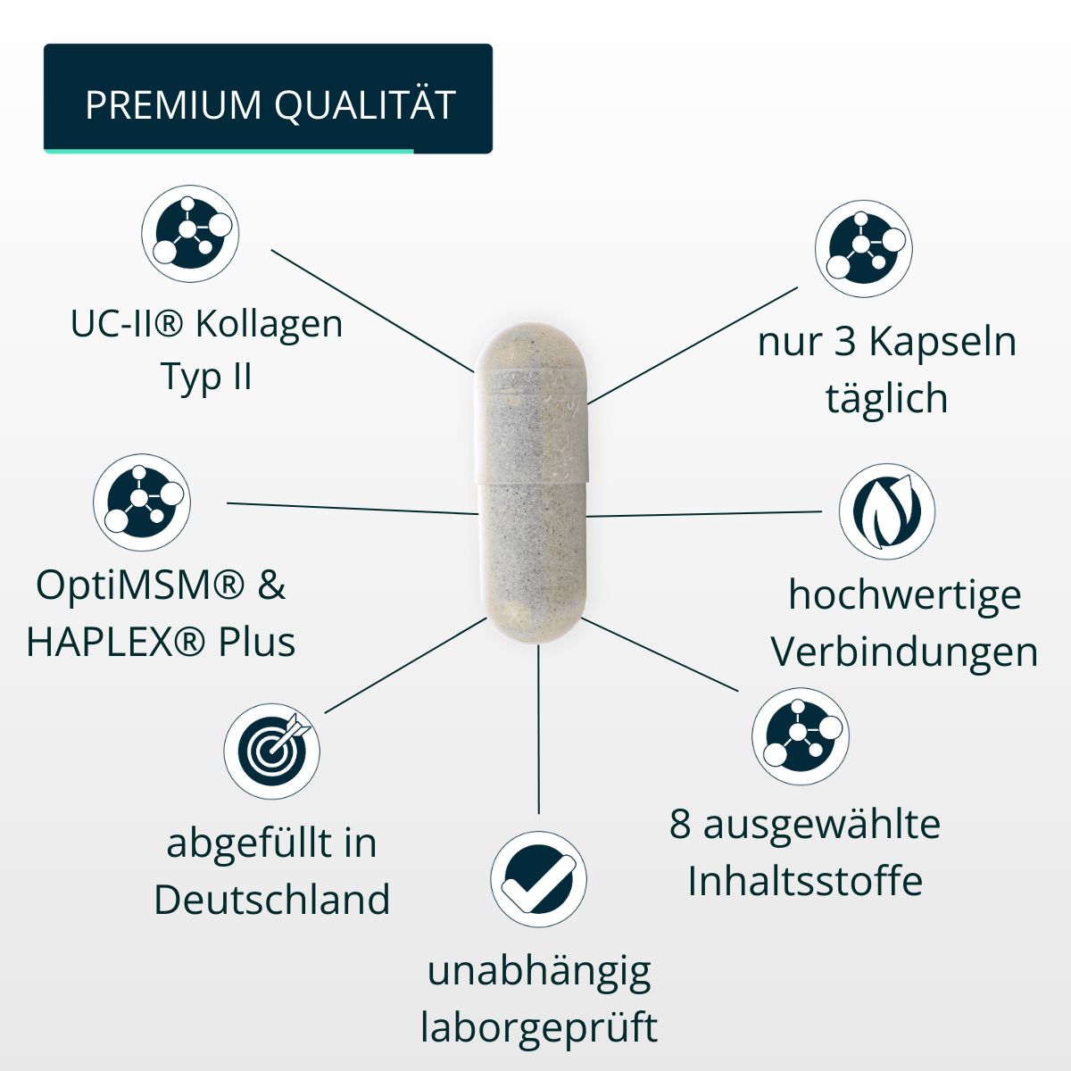Kapsel mit Text: UC-II® Kollagen Typ II, OptiMSM® & HAPLEX® Plus, nur 3 Kapseln täglich, 8 Inhaltsstoffe. Unabhängig laborgeprüft, abgefüllt in Deutschland.