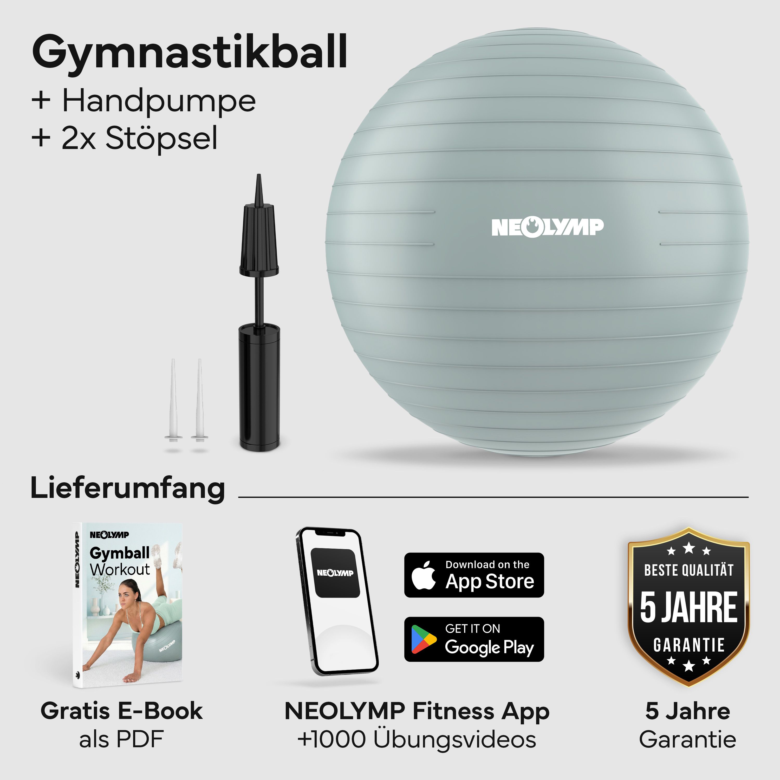Gymnastikball mit Pumpe, Ventilen, E-Book und App-Hinweis.
