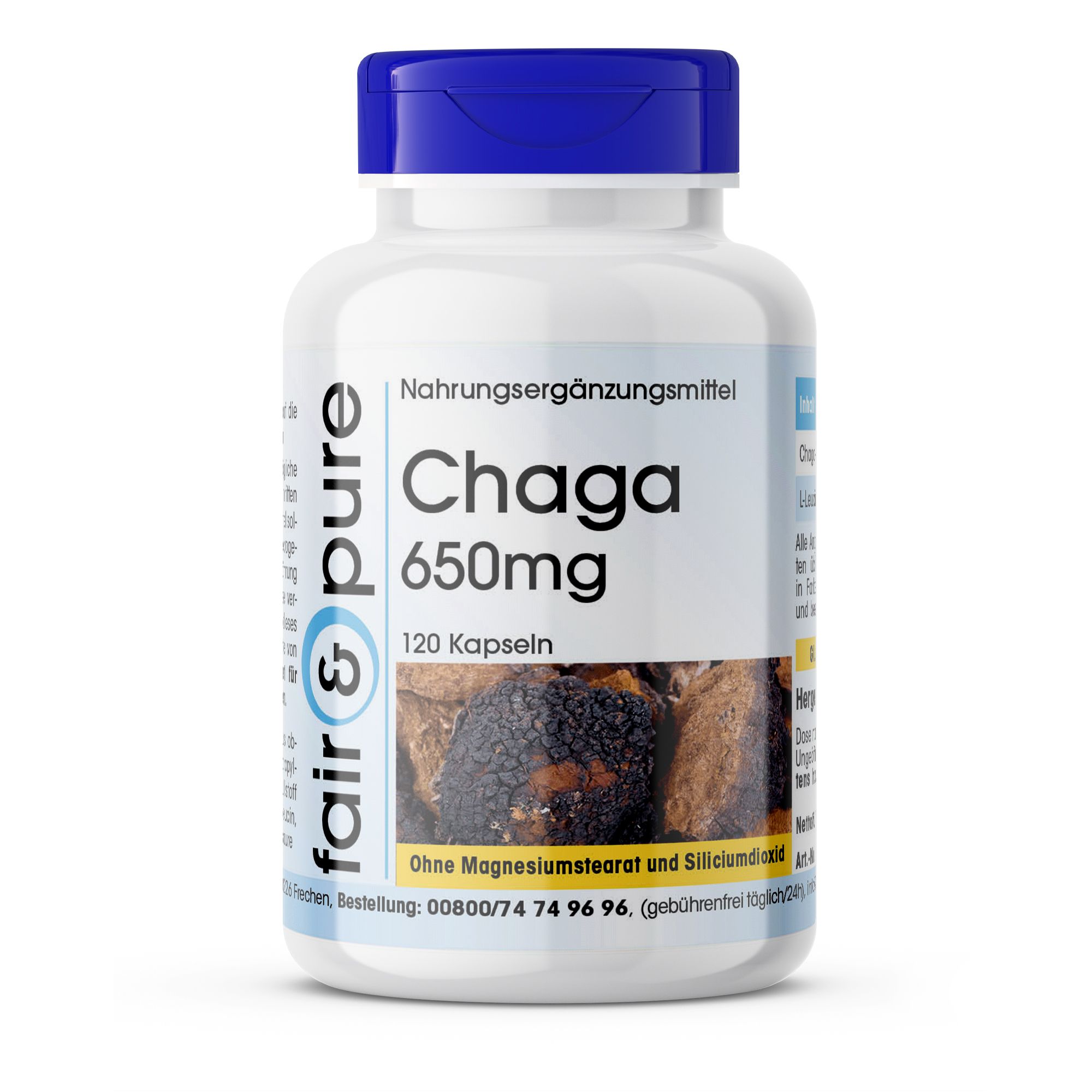 fair - pure | Chaga 650mg 120 St