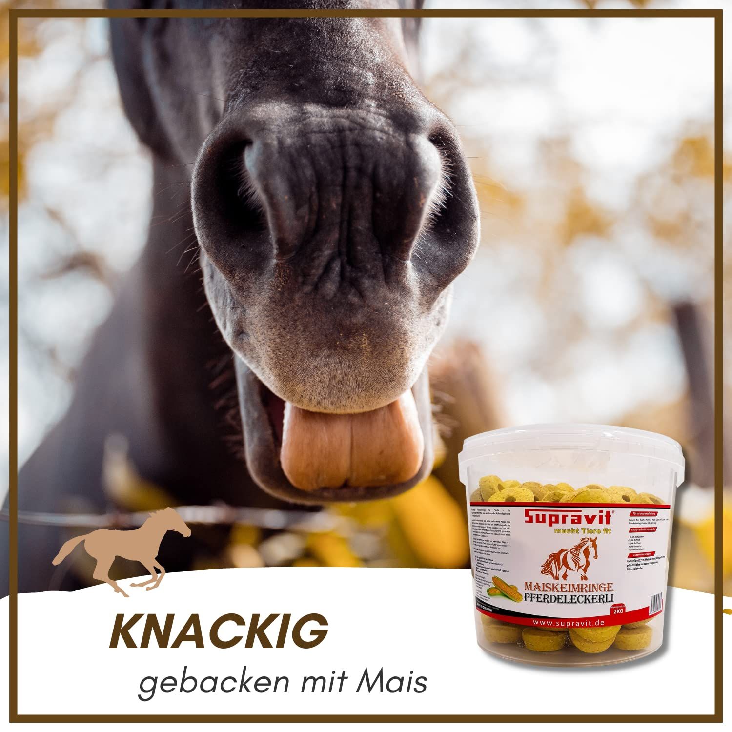 Eimer mit Pferdeleckerlis, daneben ein Pferd, das die Zunge zeigt. Text: Knackig, gebacken mit Mais.