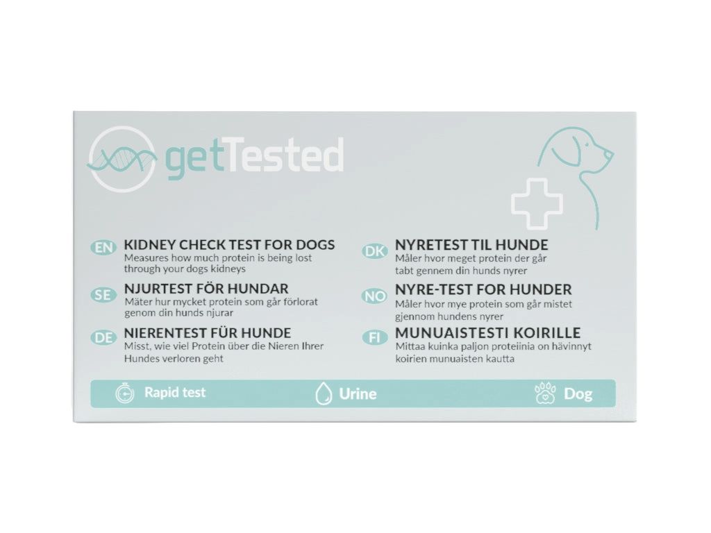 Karton mit Text und Logo: getTested. Enthält Informationen zum Nierentest für Hunde in verschiedenen Sprachen. Abbildung eines Hundes.