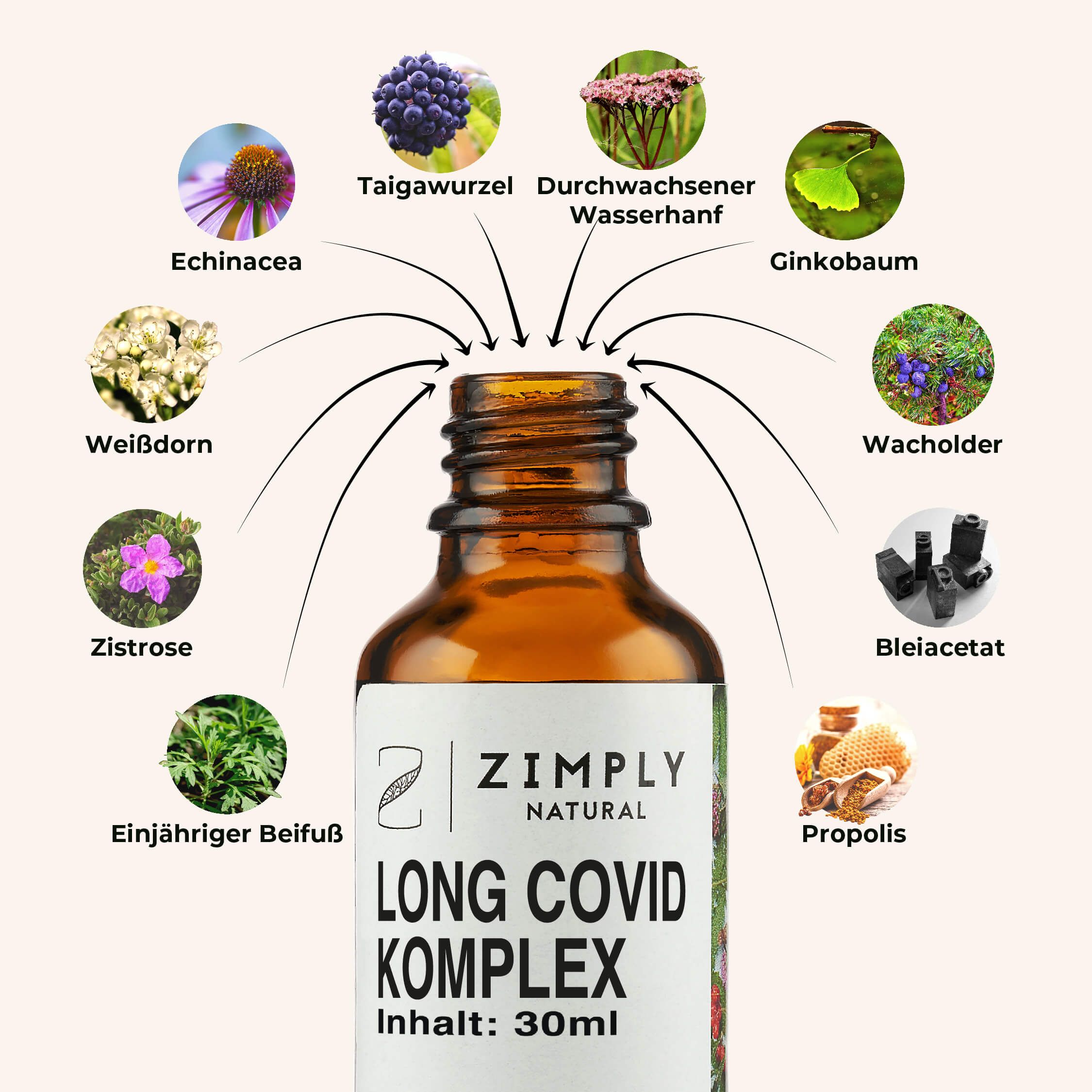 ZIMPLY NATURAL Long Covid Komplex Spray