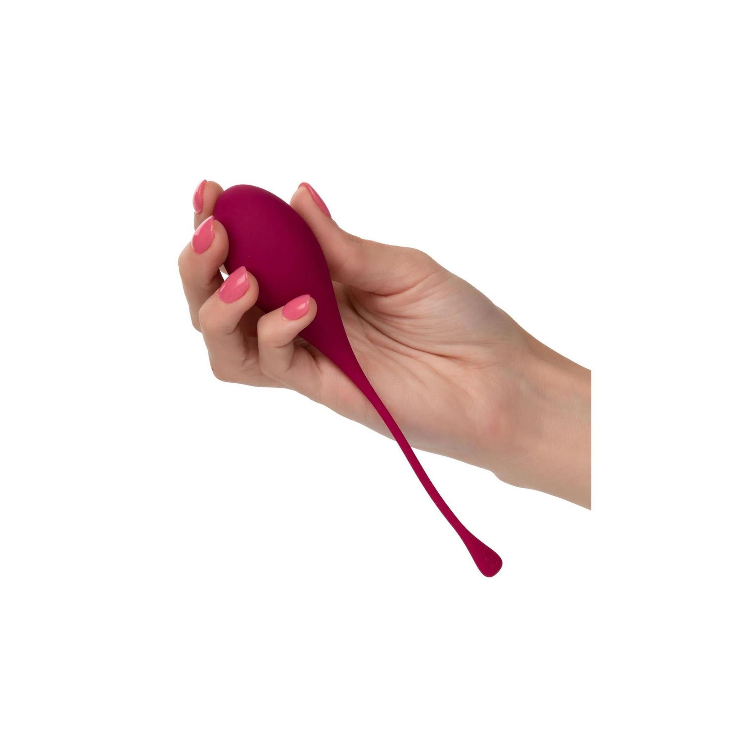 CalExotics - Kegel Training 5 Pcs