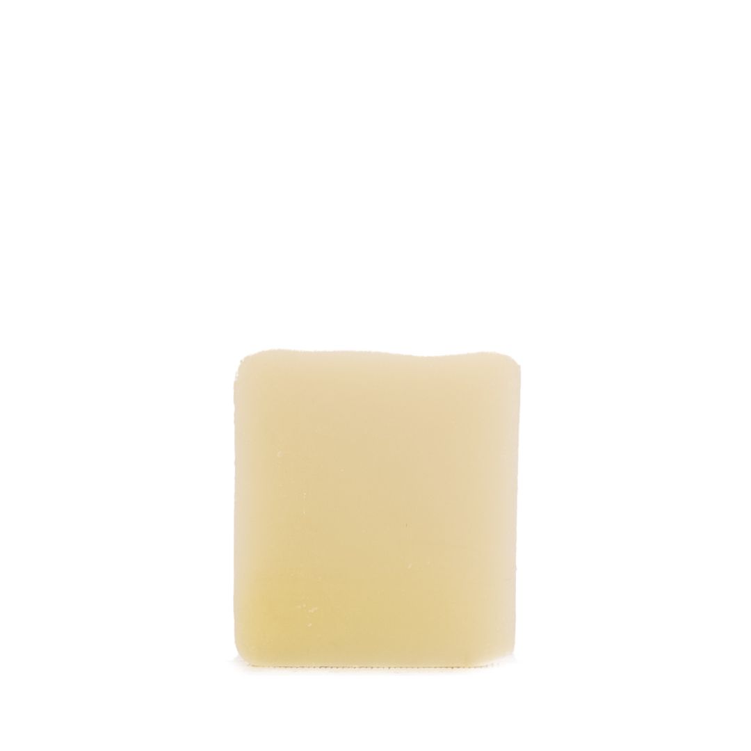 PlantBase Dusch- & Gesichtsseife Salz