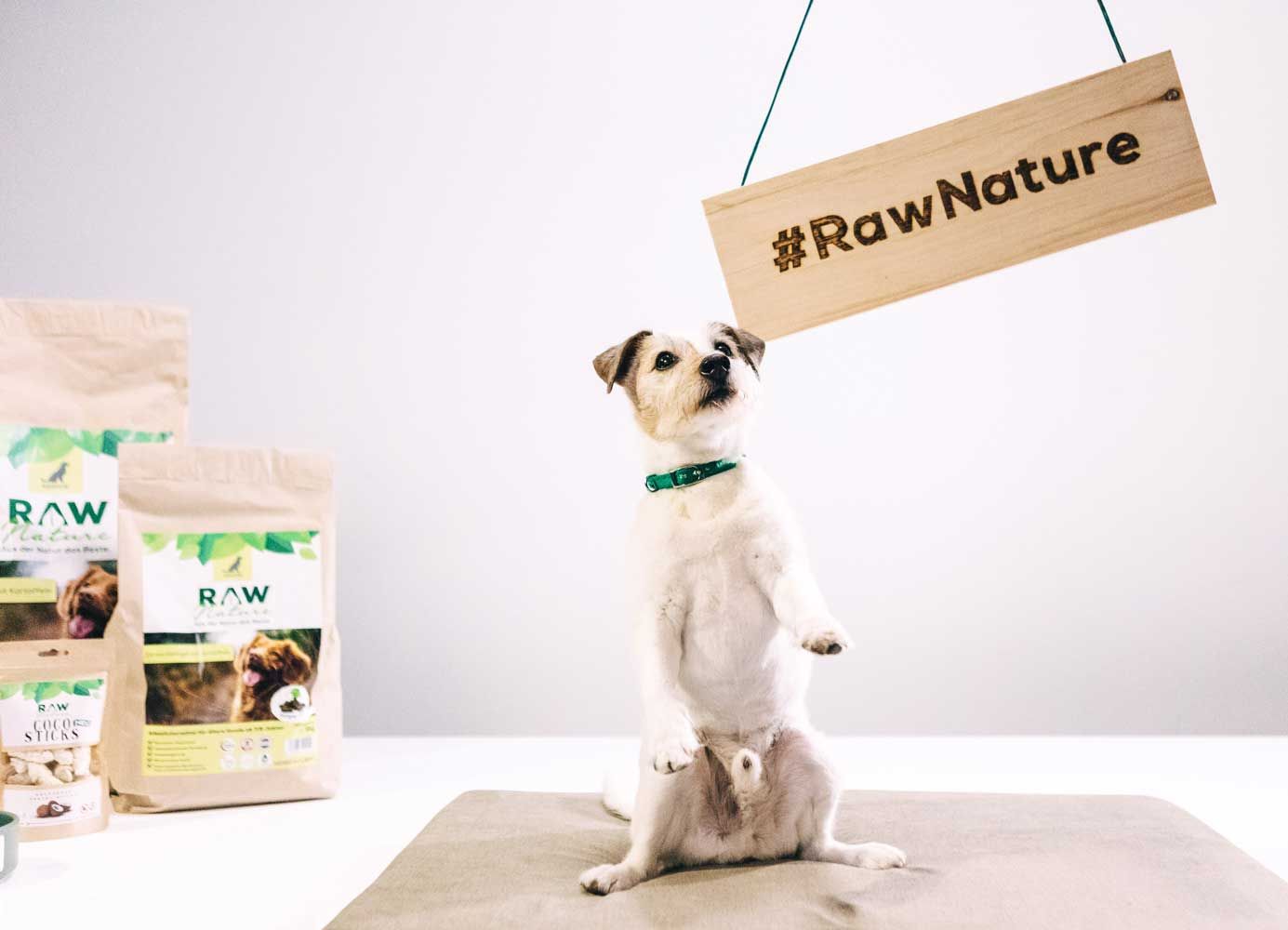RAW Nature kaltgepresstes Trockenfutter JUNIOR
