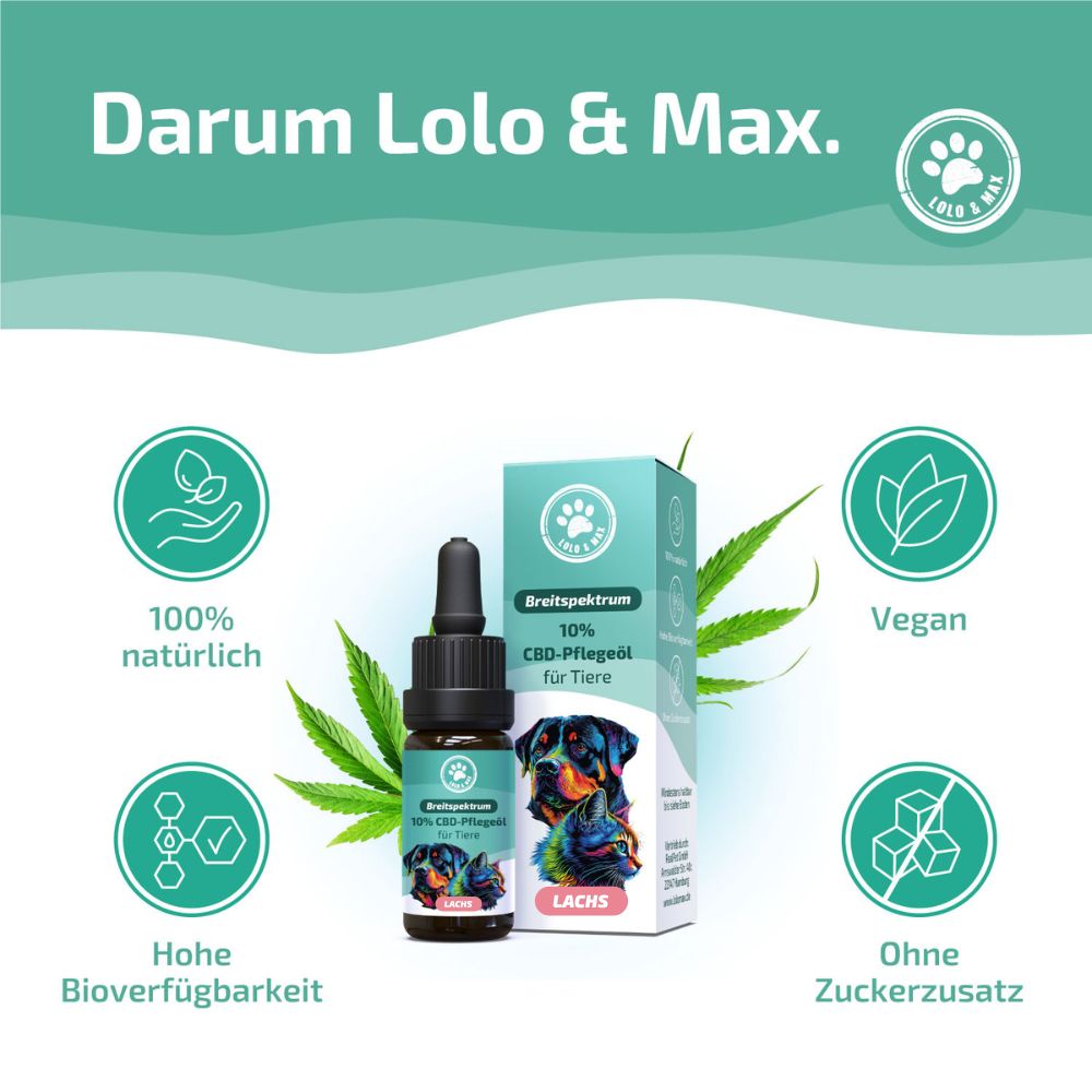 Breitspektrum CBD-Pflegeöl 10% für Tiere in dunkler Glasflasche mit Pipette. Kartonverpackung mit Hund und Katze.