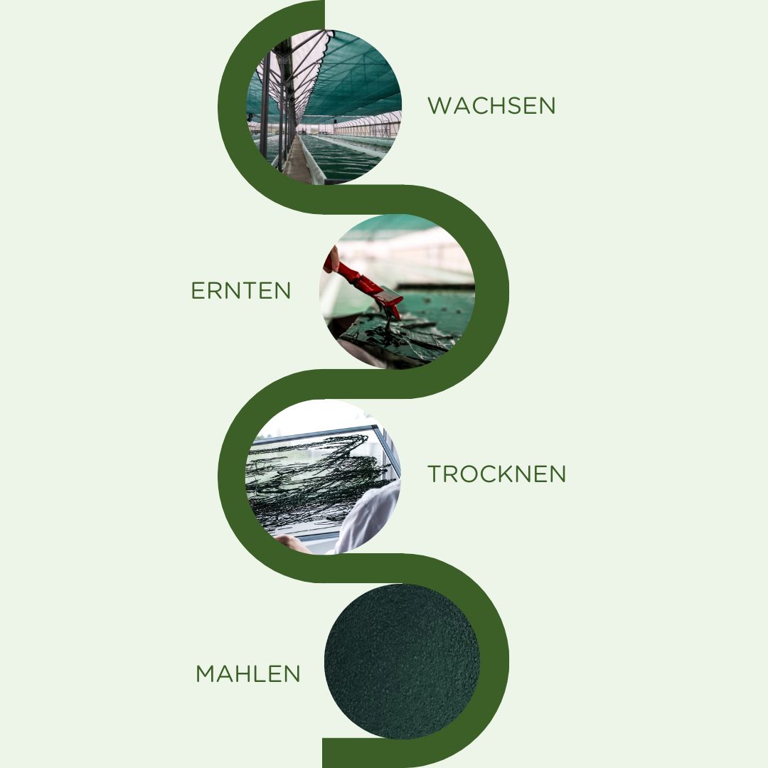 Spirulix Spirulina Flocken