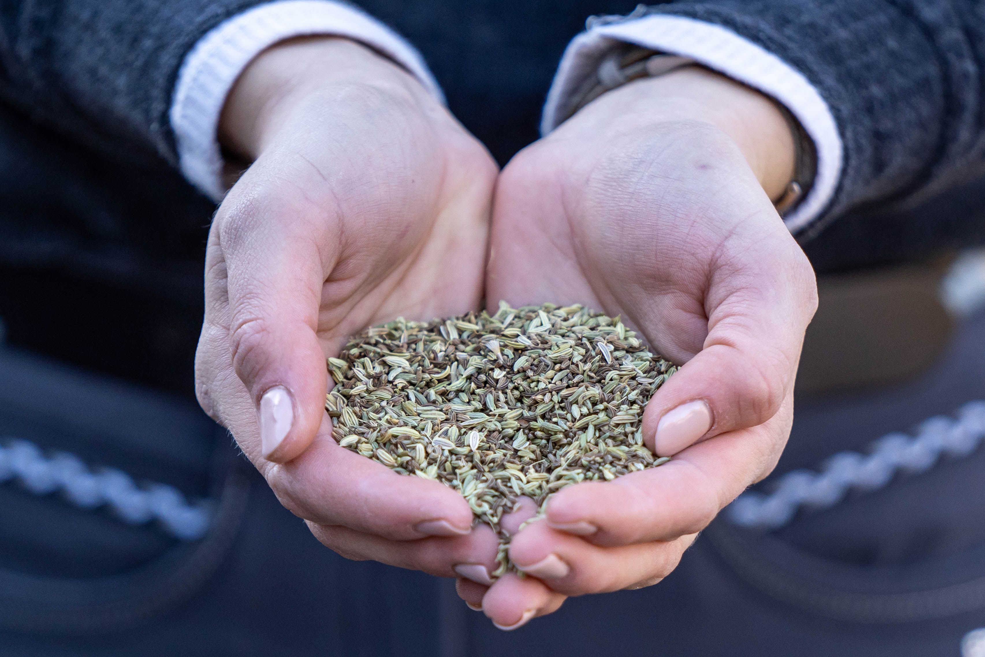 Hände halten Kräuter. Produkt ist nicht eindeutig erkennbar. Hintergrund unscharf.