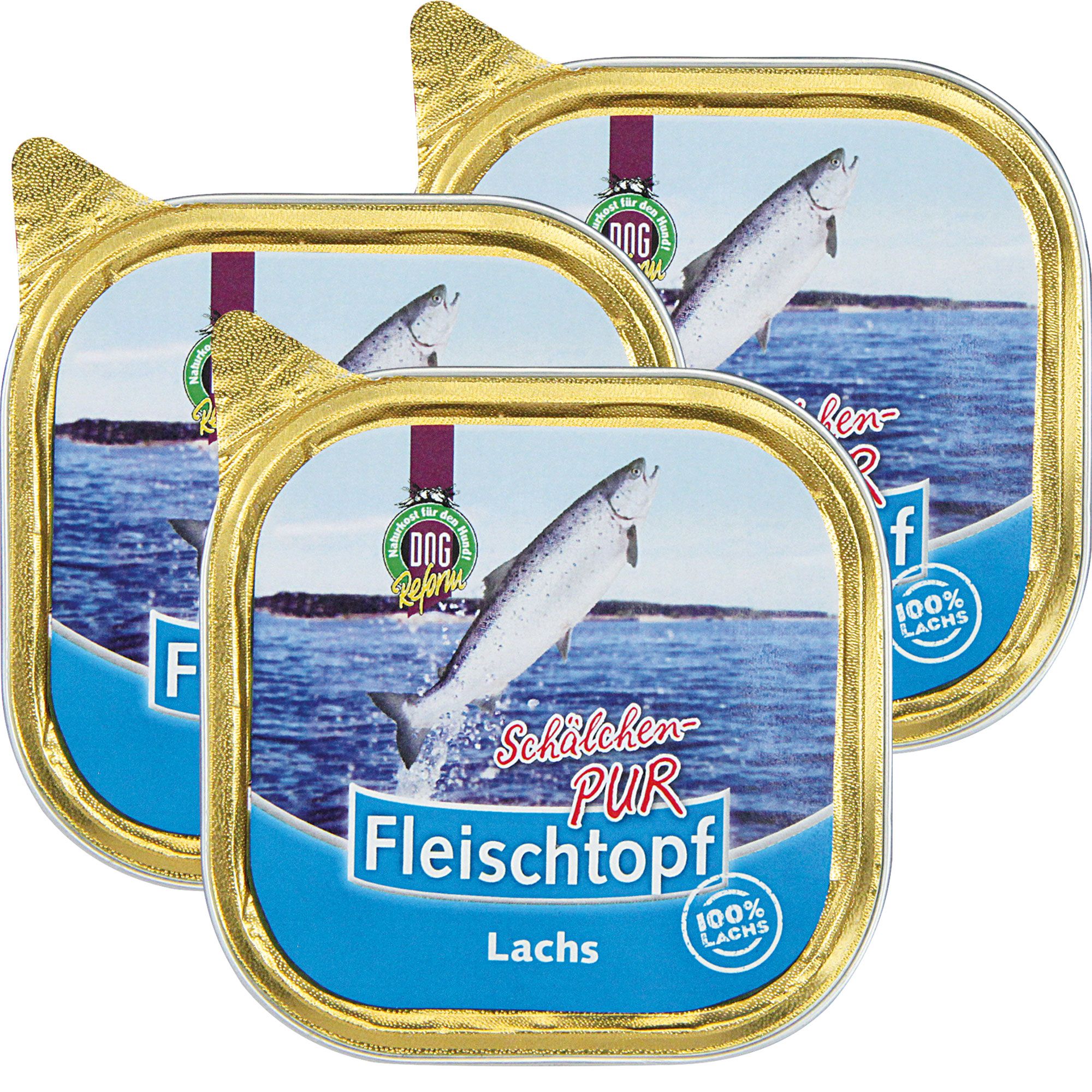Drei Schälchen mit Lachs-Nassfutter. Goldfarbener Rand, blaue Banderole mit Schriftzug. 100% Lachs-Logo. Auf weißem Hintergrund.