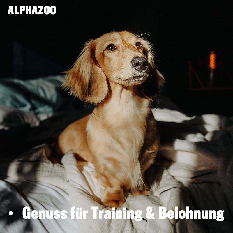 ALPHAZOO Schwing Die Hufe