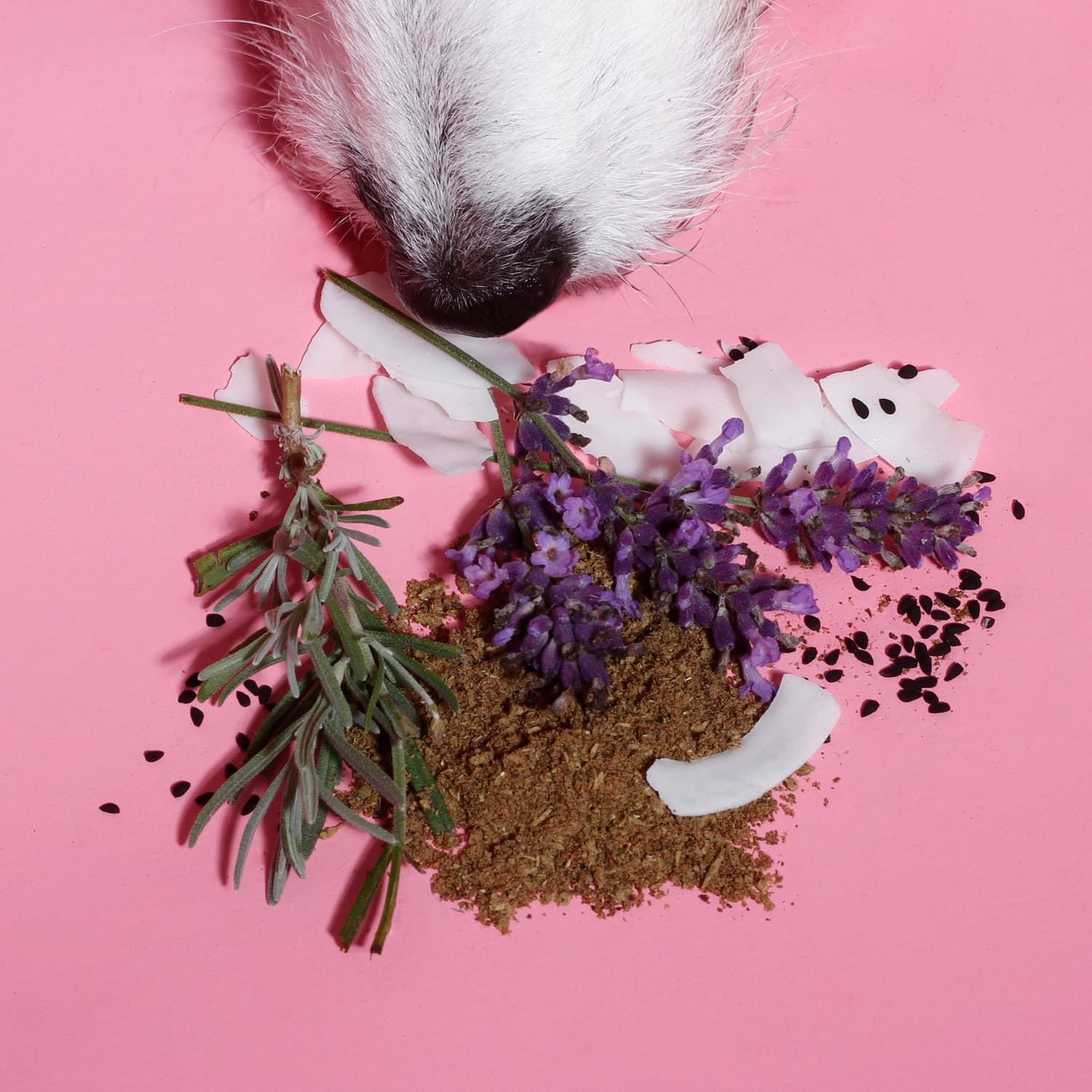 Tierliebhaber Z-Pulver