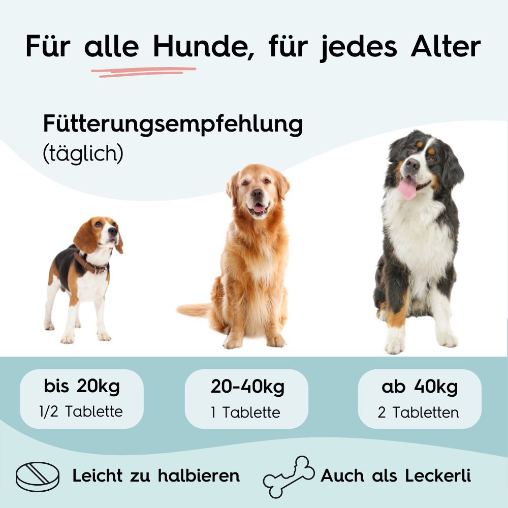 Drei Hunde. Text: Für alle Hunde, für jedes Alter. Fütterungsempfehlung (täglich). Tabletten-Angaben nach Gewicht. Leicht zu halbieren. Auch als Leckerli.