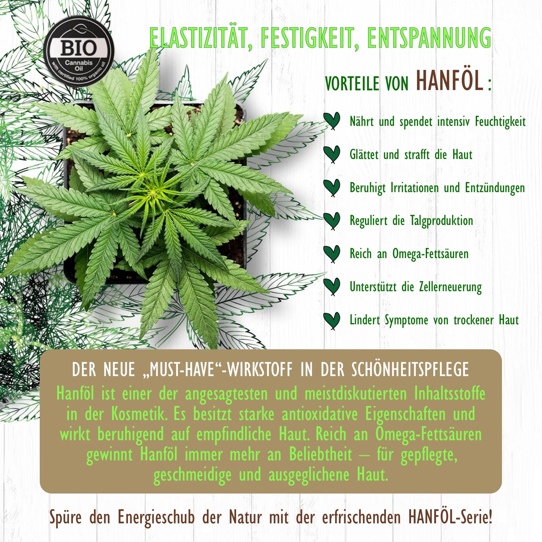 Hello Nature Haarshampoo Hanföl Cannabis Naturkosmetik für Haarpflege