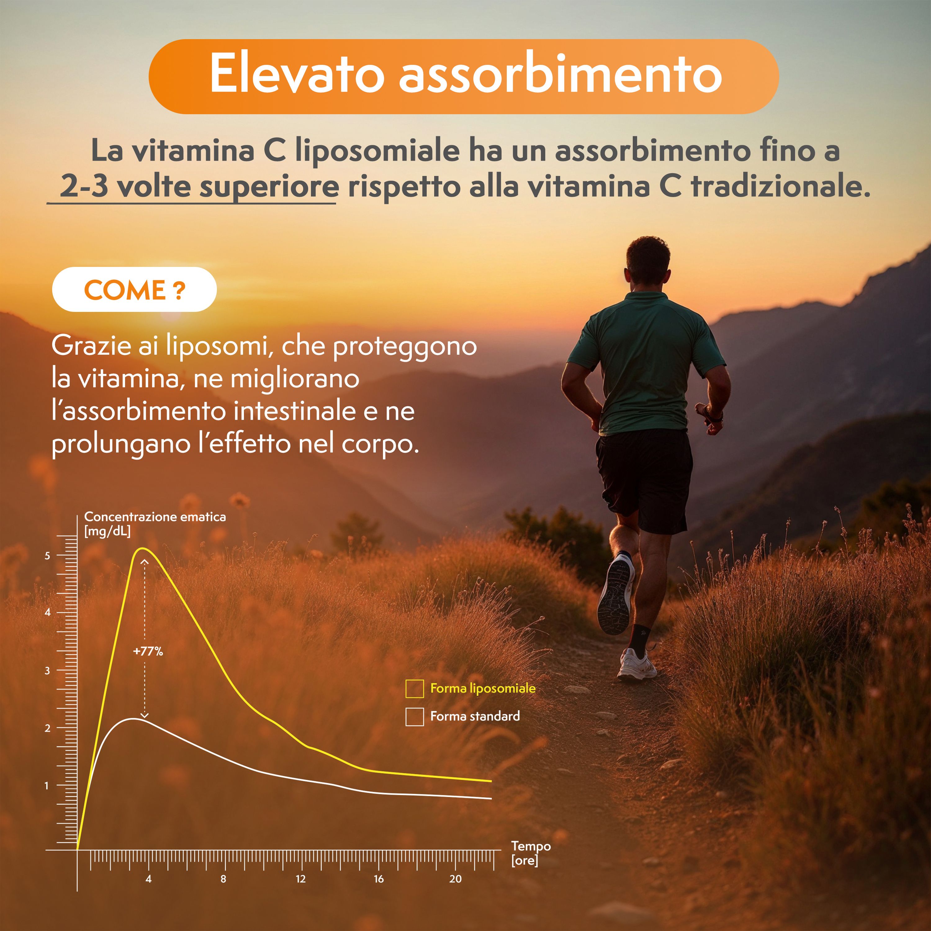 Un uomo corre su un sentiero nella natura. Un grafico mostra che la vitamina C liposomiale ha un assorbimento fino a 3 volte superiore rispetto alla vitamina C tradizionale. Il grafico illustra la concentrazione nel sangue nel tempo.