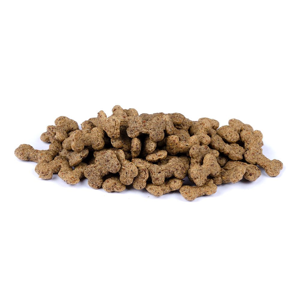 Christopherus Vegetarian - Crunchy Snack - Apfel mit Linsen