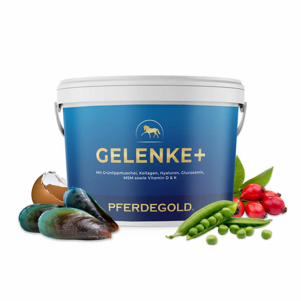 Pferdegold Gelenke+