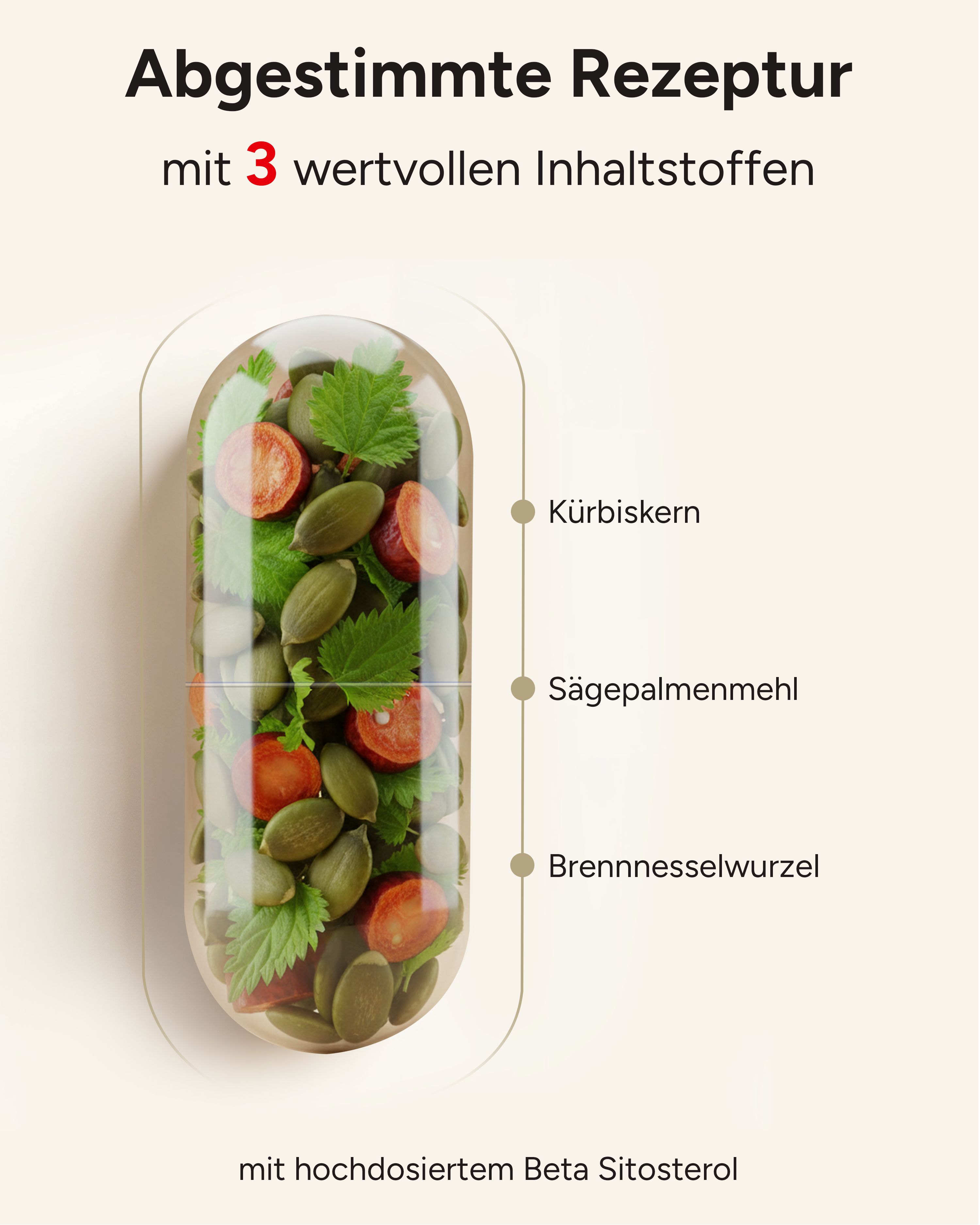 plantomol® Prostata Komplex mit Kürbiskern Sägepalme Brennnessel - Brennessel Kapseln - Prosta Trio