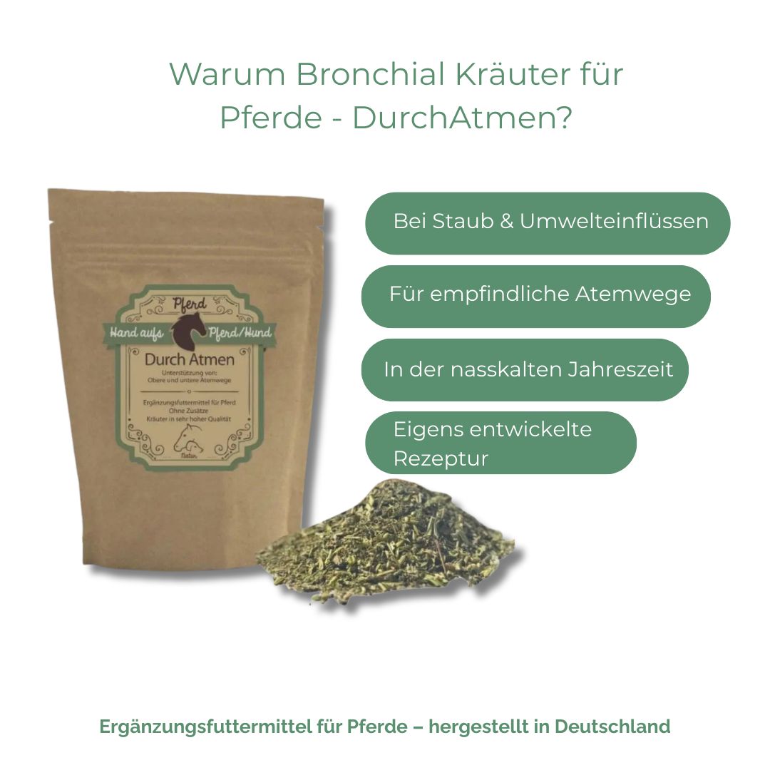 Beutel mit Kräutern und loser Kräuterhaufen. Text: Warum Bronchial Kräuter für Pferde - DurchAtmen?