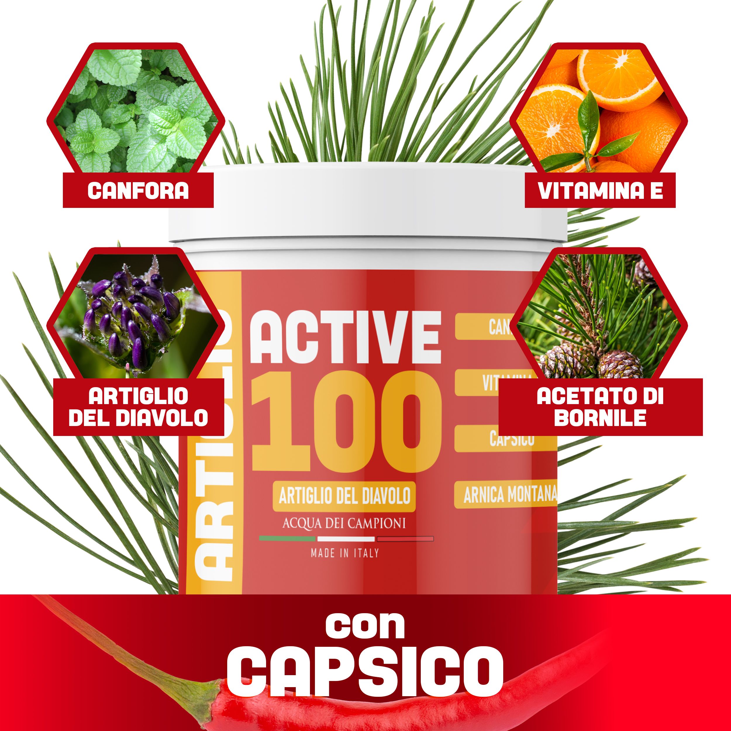 Behälter mit roter und gelber Beschriftung. Text: ACTIVE 100, Artiglio del Diavolo, Made in Italy. Abgebildet sind Zutaten.