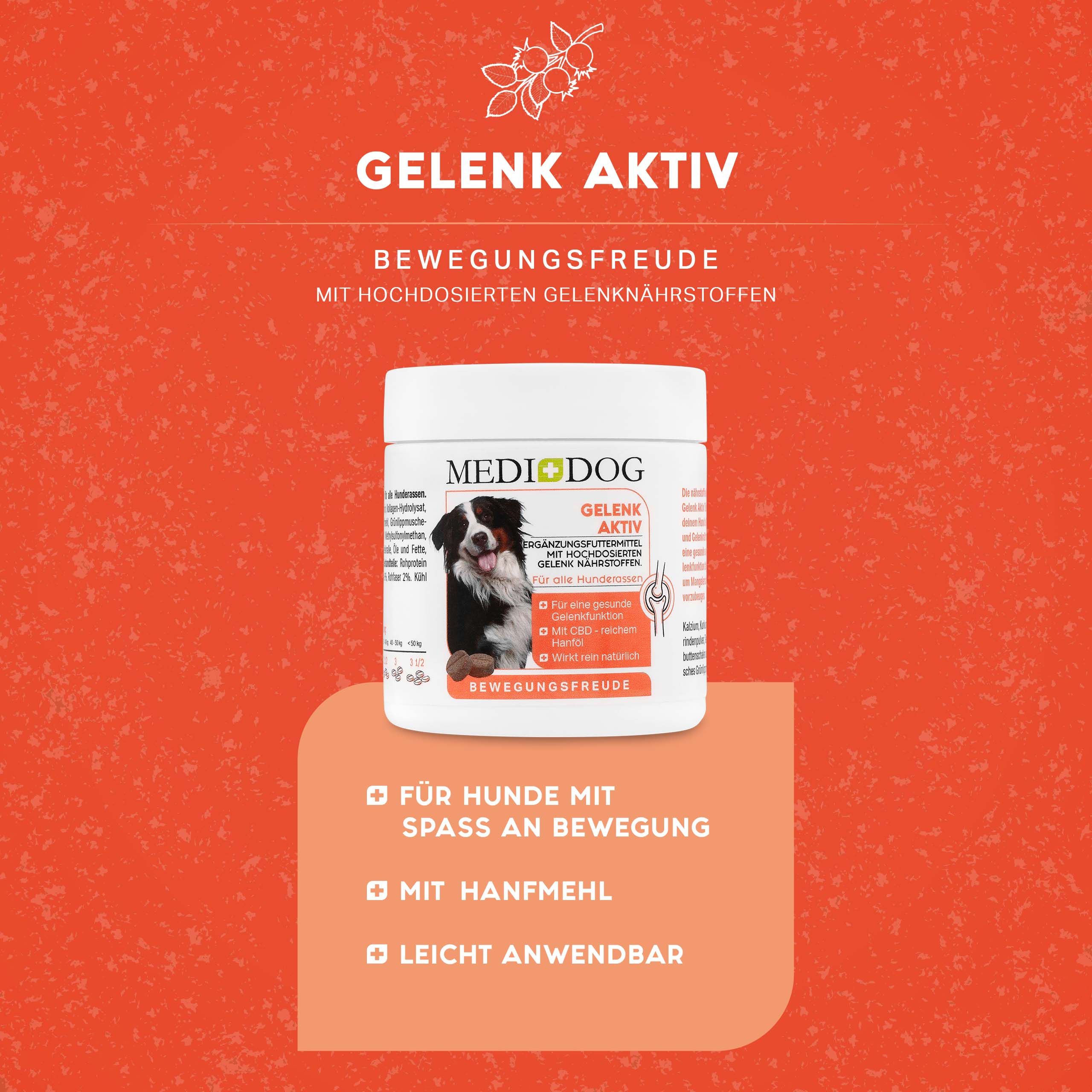 Medidog Gelenk Aktiv Tabletten 120 g Kautabletten